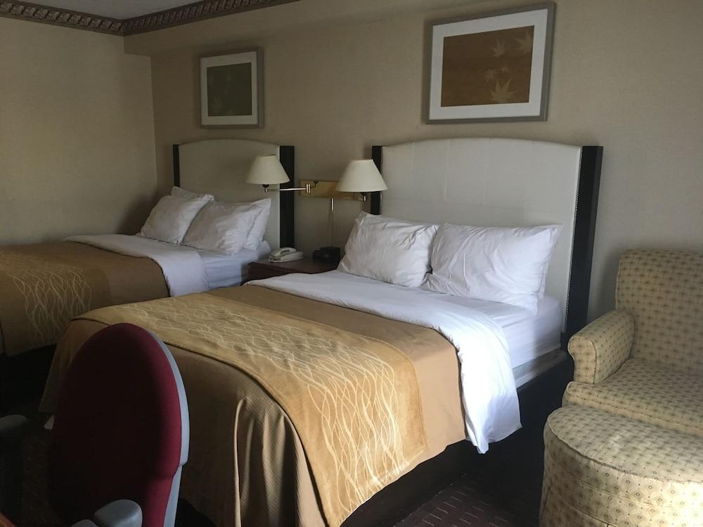 Comfort Inn Meadowvale Миссиссага Экстерьер фото